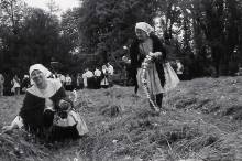 Kosen trvy, Buchlovice, 2004