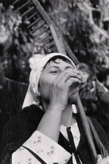 Kosen trvy, Buchlovice, 2004