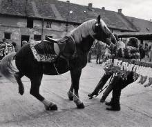 Jzda krl, Kunovice, 2004