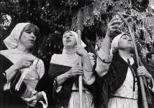 Kosen trvy, Buchlovice, 2004